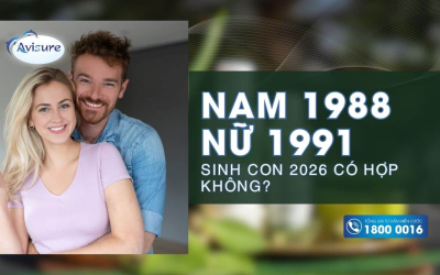 Nam 1988 nữ 1991 sinh con 2026 hợp không? Luận giải theo tử vi